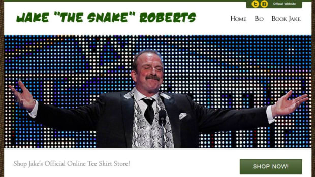 WWE-professional-wrestler-websites-lead.jpg